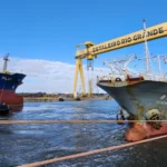 Ecovix / Divulgação