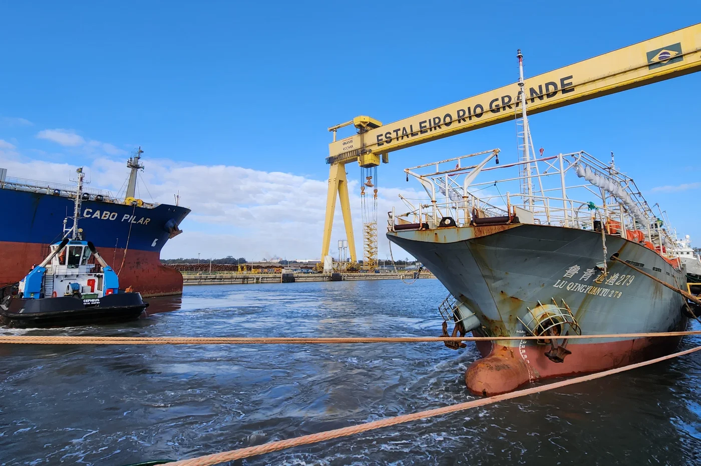 Ecovix / Divulgação